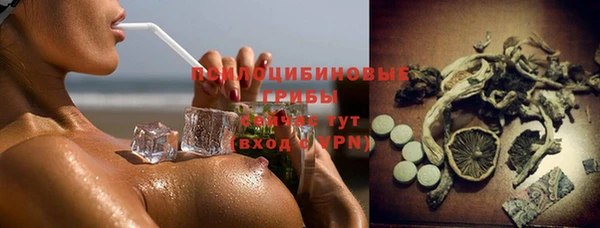кокс Алексин