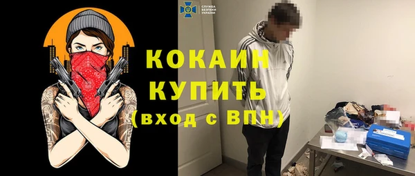 кокс Алексин