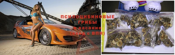 индика Алексеевка
