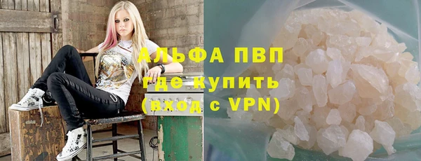 индика Алексеевка