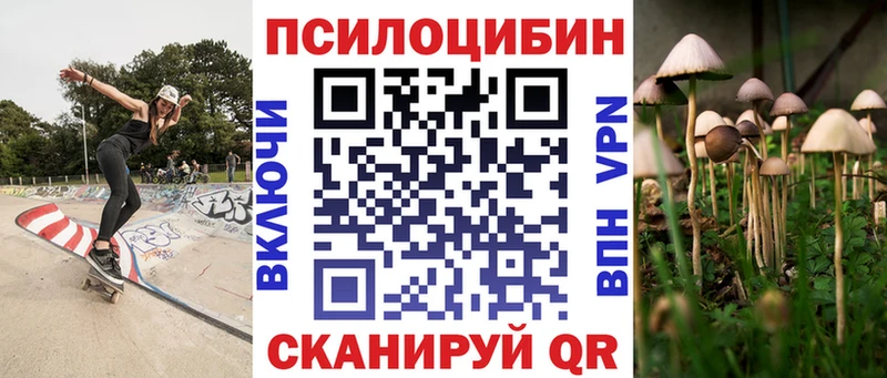 blacksprut как войти  Асино  дарк нет как зайти  Галлюциногенные грибы Psilocybine cubensis 